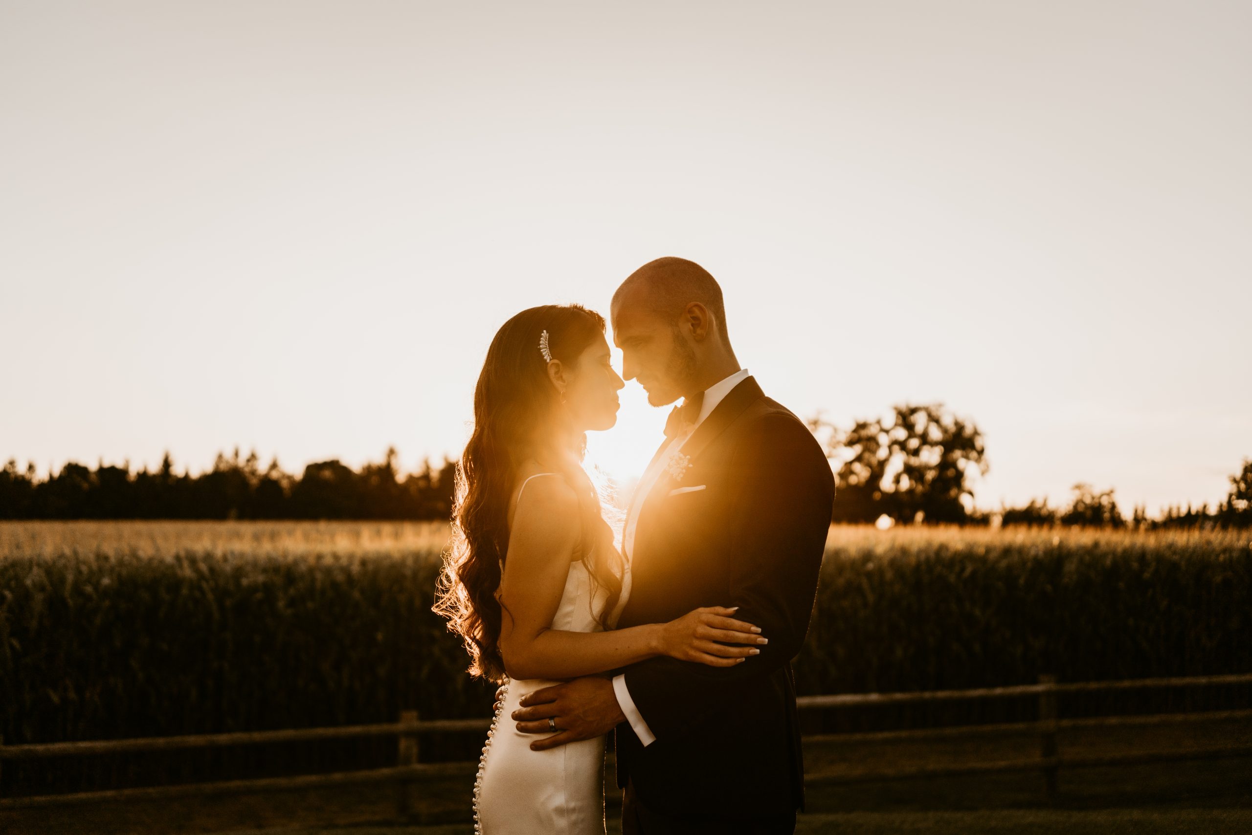 toronto wedding photographer image of a couple embracing during golden hour