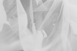 A bride and groom face each other closely, partially hidden under a sheer white veil, sharing an intimate wedding moment. The soft focus and lighting create a romantic, dreamy atmosphere captured by the photographer.
